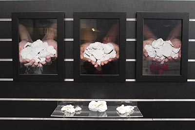 Installation featuring photographs and plaster-casted corals. 