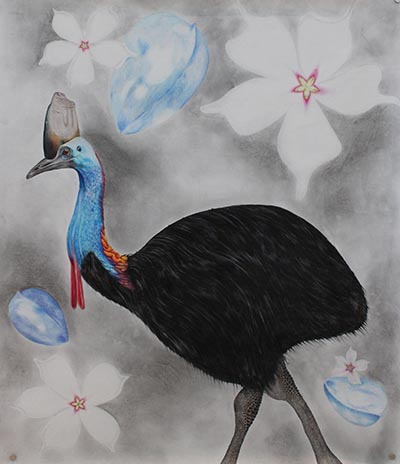 Drawing of a cassowary.