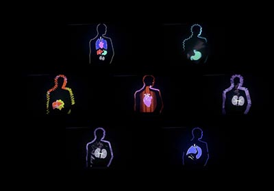 Image featuring illustrations of seven human upper body figures in a black background, each with different organs emphasised using colours and detailed illustrations. Six figures are arranged in a circle on the outside, with one positioned in the centre.