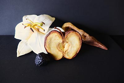 A sculpture composed of a crow's skull, a lily flower, a halved rotten apple with the core facing outward, and a squashed blackberry.