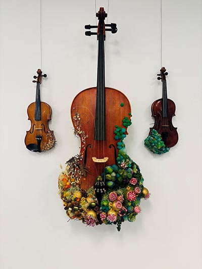 An image featuring three violins on display, each adorned with distinct decorations.