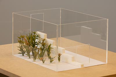 A clear acrylic rectangular box with two cut-out openings on opposite sides. Inside, a staircase-like structure spans the length of the box, with miniature plants positioned at the front of the structure.