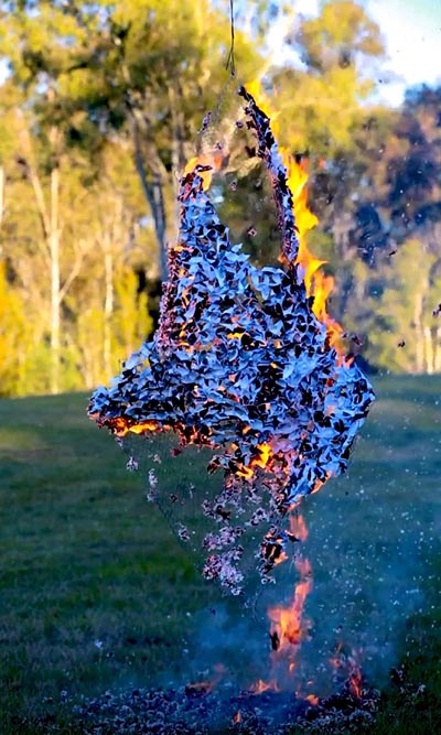 A sculpture set ablaze while suspended in an outdoor environment, surrounded by natural scenery.
