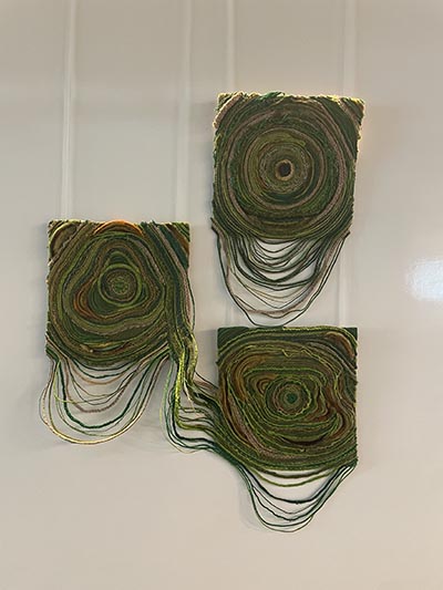Three artworks made of natural materials and fine linework, resembling tree ring cross-sections, displayed on a wall.
