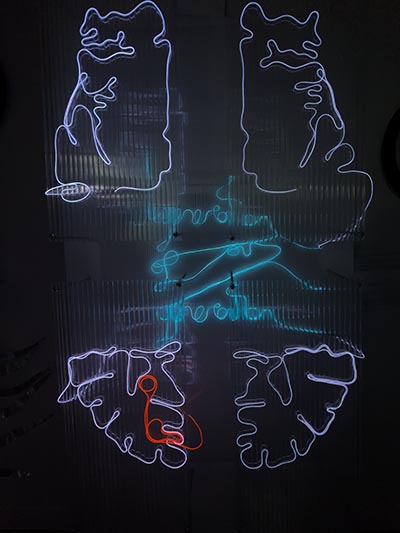 Electroluminescent wire traces parts of human brains, presented across four sheets—two at the top and two at the bottom—with similar wires displayed behind in an organic pattern.