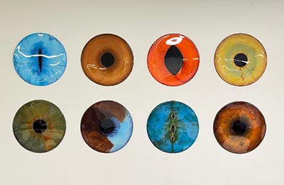 A painting of eyes arranged in two rows, each row featuring four distinct eyes. Each eye has a uniquely coloured iris, along with pupils of varying shapes and sizes.